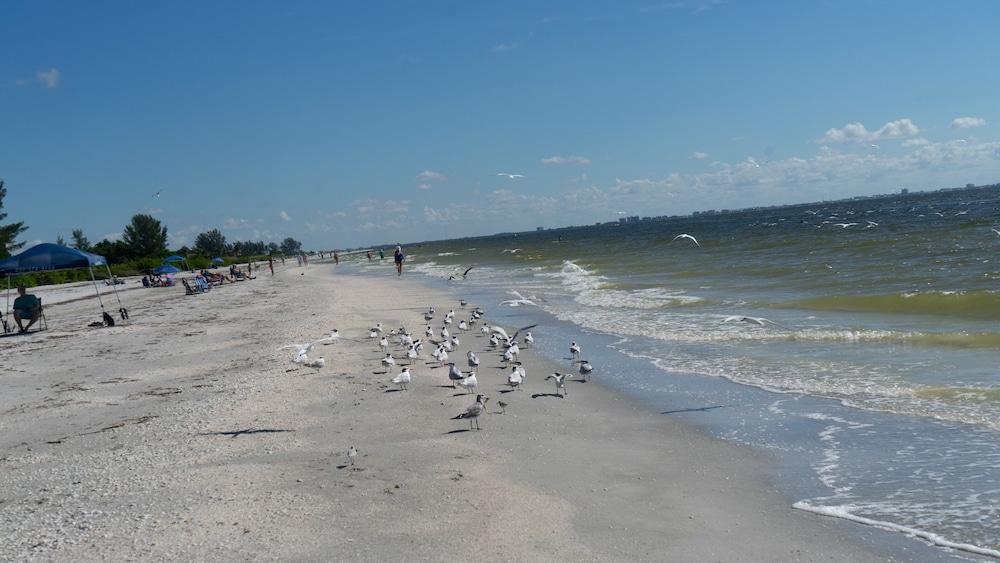 Gulf Breeze Cottages Sanibel Ngoại thất bức ảnh